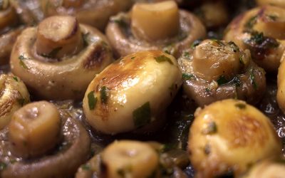 Champignones al ajillo
