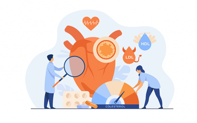 Colesterol, Enfermedades cardiovasculares y Alimentación